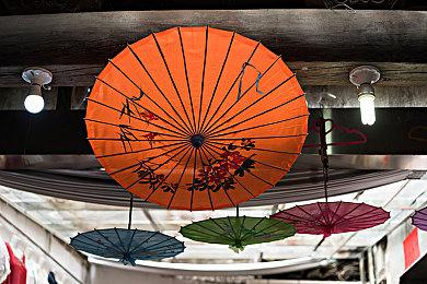 文字冒险游戏《Iris Odyssey》Steam页面上线 明年发售